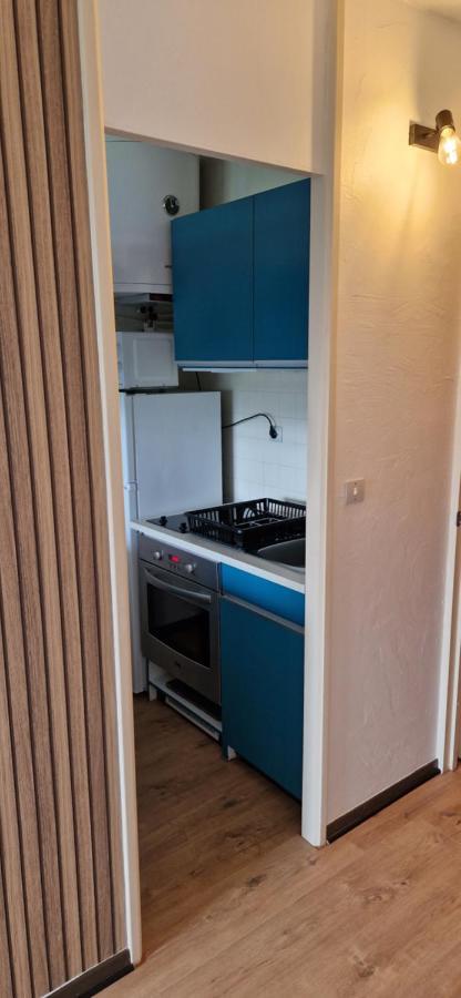 Appartement Saint Lary - Pla D'Adet - Aux Pieds Des Pistes Ngoại thất bức ảnh